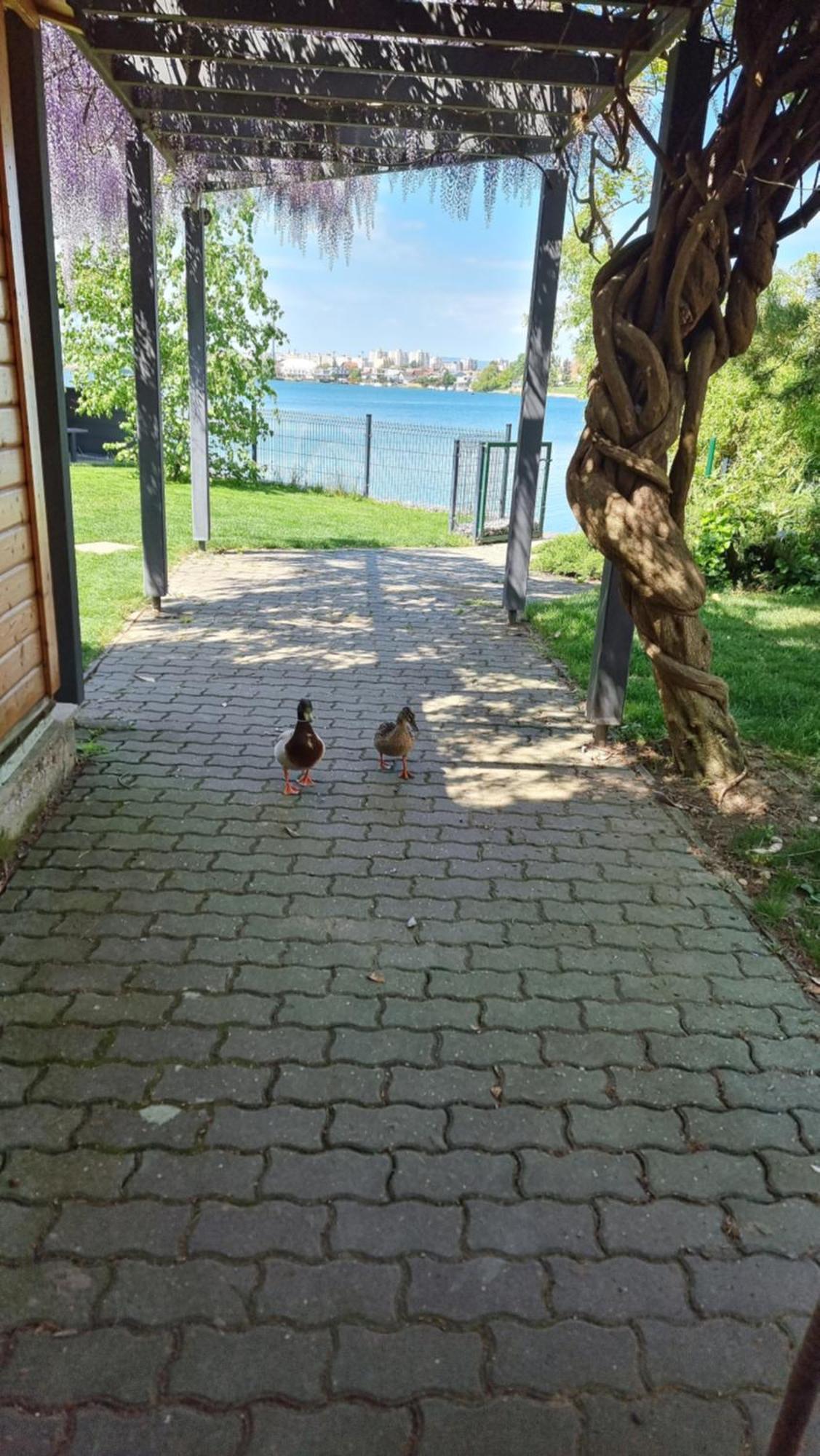 Topsenec-Lakeside Home Ngoại thất bức ảnh